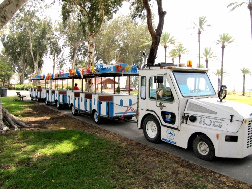 (צילום:עומר שביט)